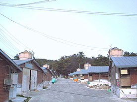 銚子第1ファーム全景 銚子第1ファーム全景