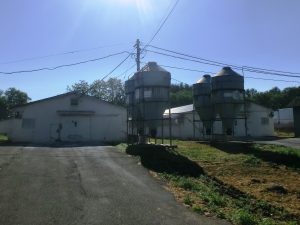 121 松尾4 松尾第4ファーム農場全景