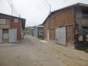 212 大畑2 大畑第2ファーム農場全景