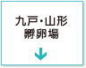 九戸・山形 孵卵場