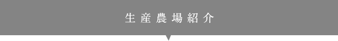 生産農場紹介