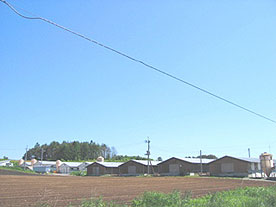 大野岡田ファーム全景