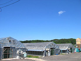 下帯島ファーム全景