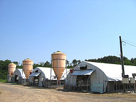 長根山ファーム全景