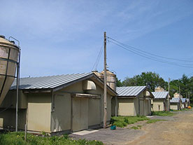 野田第１ファーム全景