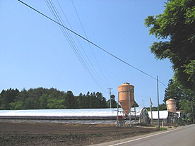 小山ファーム全景