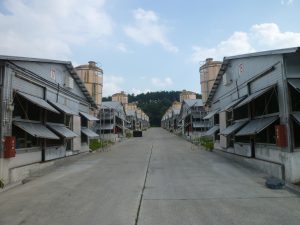 向田第5ファーム農場全景