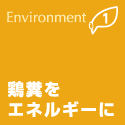 鶏糞をエネルギーに