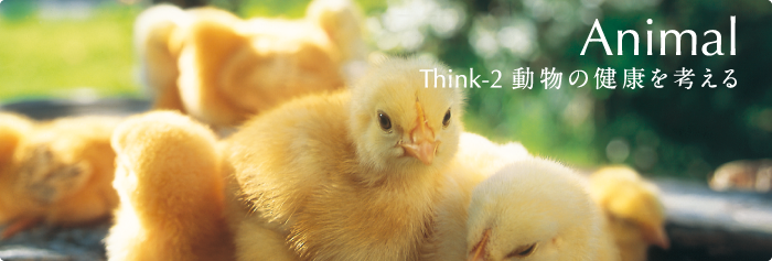 Think-2　動物の健康を考える