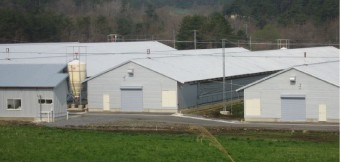 種鶏工場 種鶏工場