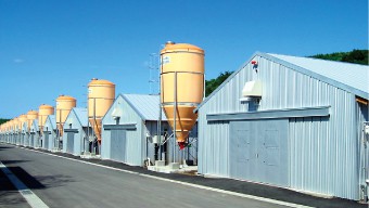 生産農場 生産農場